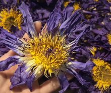 Load image into Gallery viewer, Egyptian Blue Lotus Tea/Hebal
