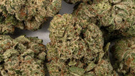 Strawberry Cough THCa 1lb