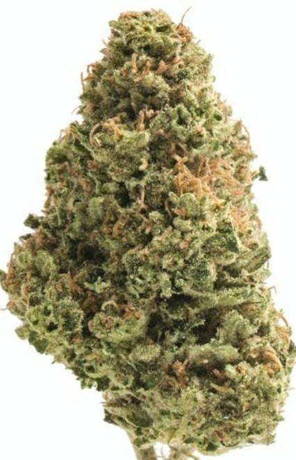 Hawaiian Express Delta-8 (Sativa)
