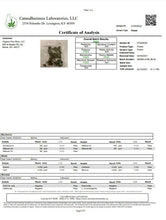 Load image into Gallery viewer, Girl Scout Cookies Delta-8 (Hybrid)
