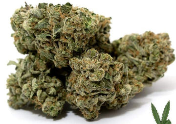 Master Kush Delta-8 Indica